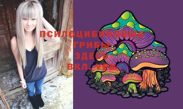 винт Абаза