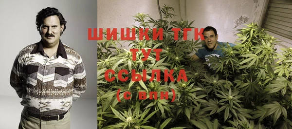 соль курить ск Алзамай
