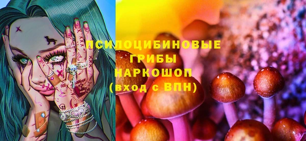 ПСИЛОЦИБИНОВЫЕ ГРИБЫ Липки