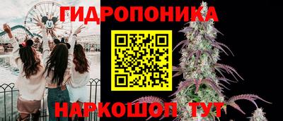 apvp Обь
