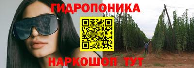 стафф Обнинск