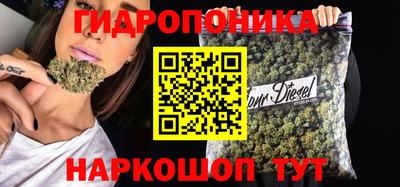 apvp Обь