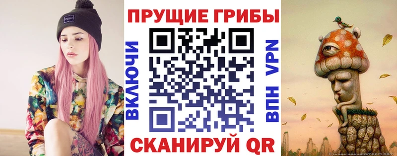 даркнет сайт  Орск  Псилоцибиновые грибы Cubensis 
